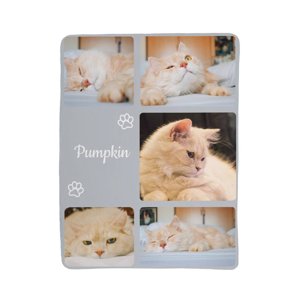 Collage of a cat named 'Pumpkin' with multiple photos on a white background