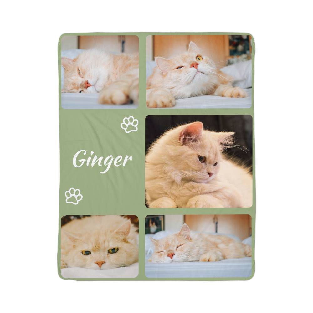 Collage of a cat named 'Ginger' with multiple photos on a green background