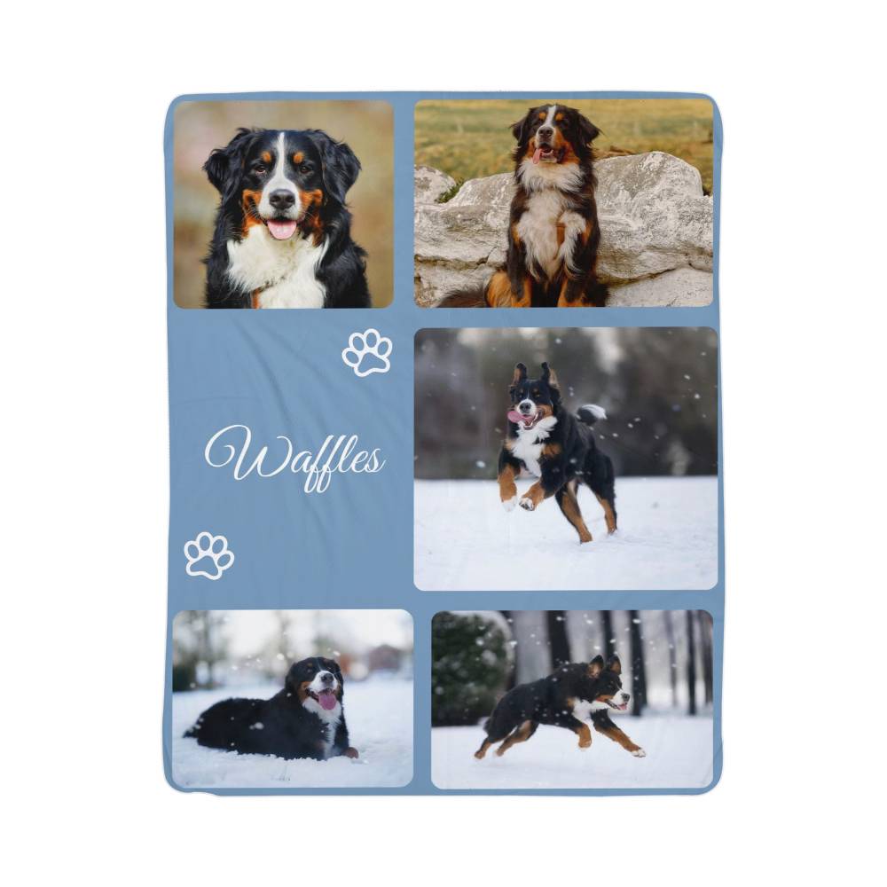 Collage of a dog named Waffles in various poses on a blanket with a blue border.