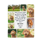 Memorial plaque with photos of a dog named Buddy and a quote.