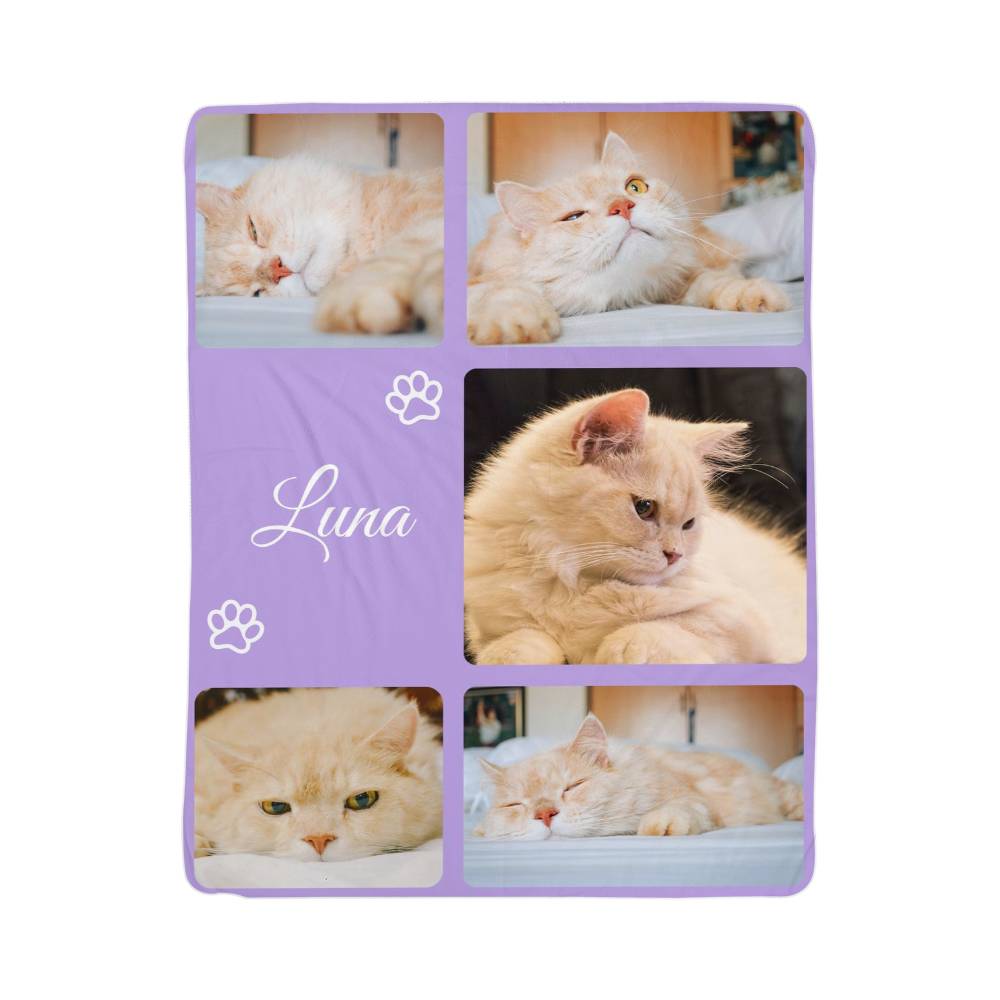 Collage of a cat named Luna with purple border