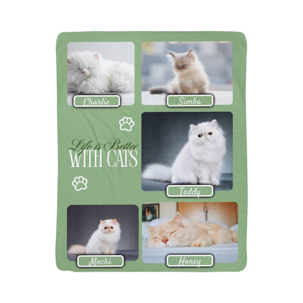 Product packaging with images of cats and text 'Life is Better With Cats' on a green background