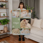 Person holding a blanket with cat photos and the name 'Ginger' in a living room.