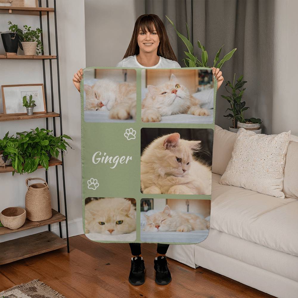 Person holding a blanket with cat photos and the name 'Ginger' in a living room.