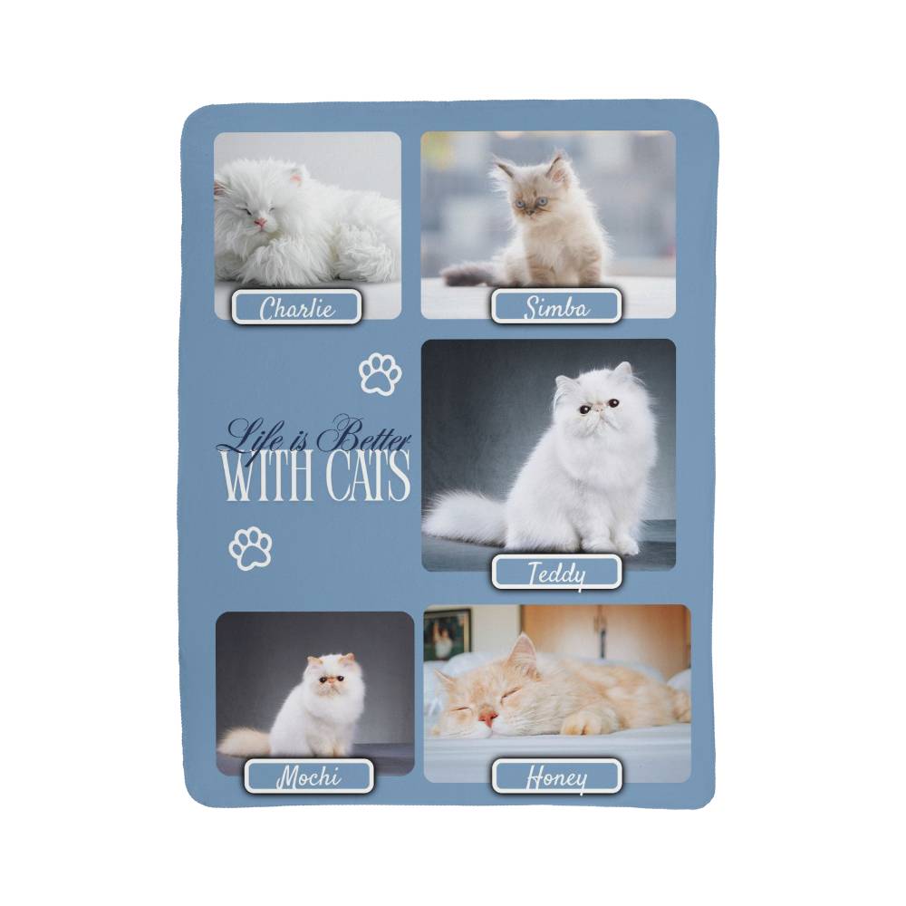 Card with images of cats and text 'Life is Better With Cats' on a blue background