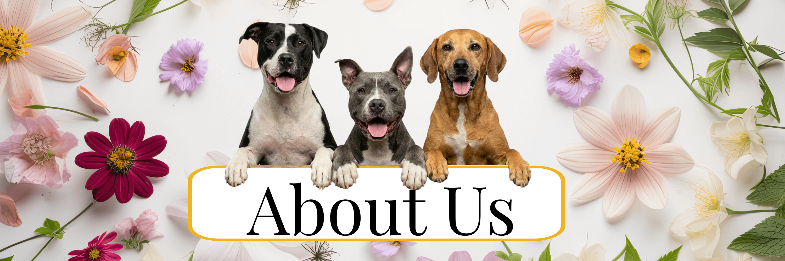 Three dogs behind a 'About Us' sign with flowers around them
