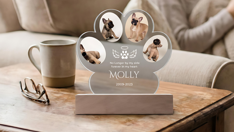 Memorial plaque for a dog named Molly on a wooden table with a woman sitting in the background.