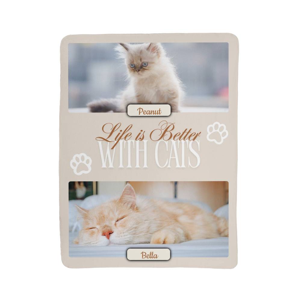 Product packaging with images of cats and text 'Life is Better With Cats' on a white background.