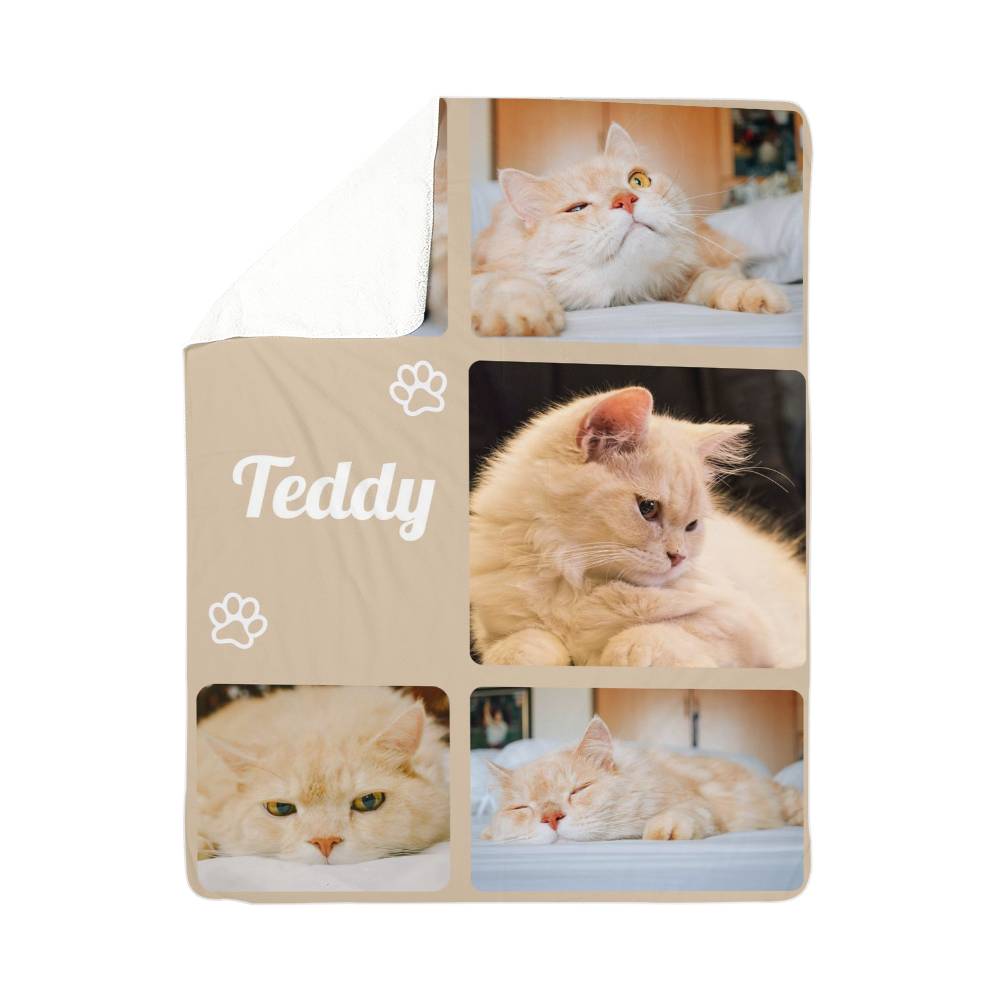Personalized pet blanket with images of a cat named Teddy and the word 'Teddy' printed on it.