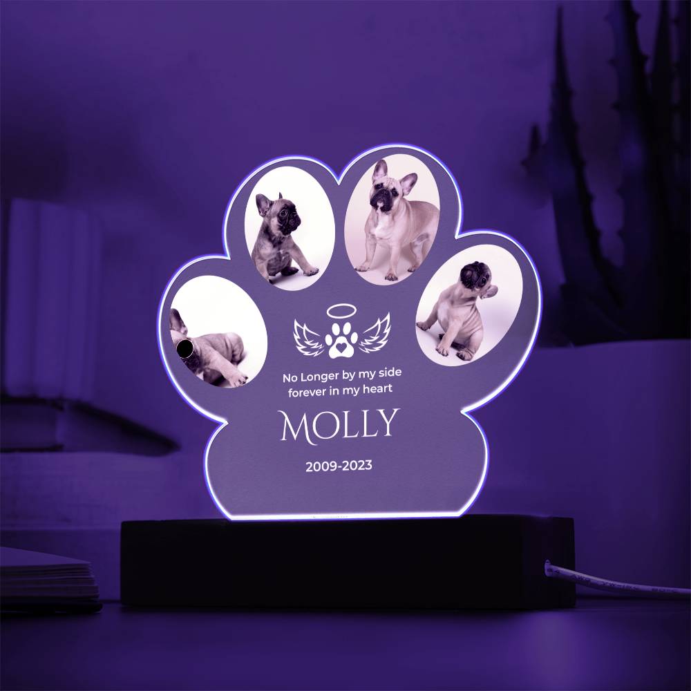 🐾 Personalized Pet Memorial Paw Acrylic Plaque with LED Base – Custom Dog Photo Light Keepsake