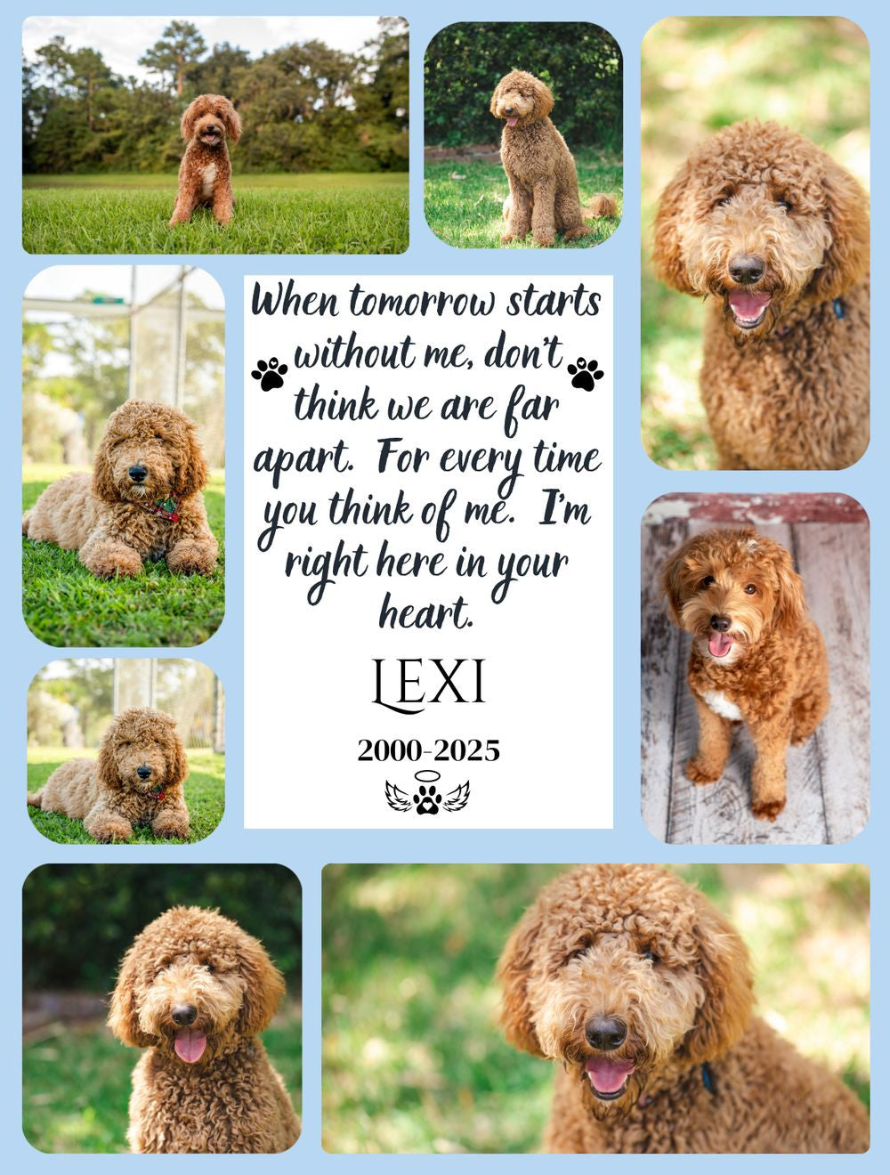 Collage of a dog with a quote and text on a light blue background