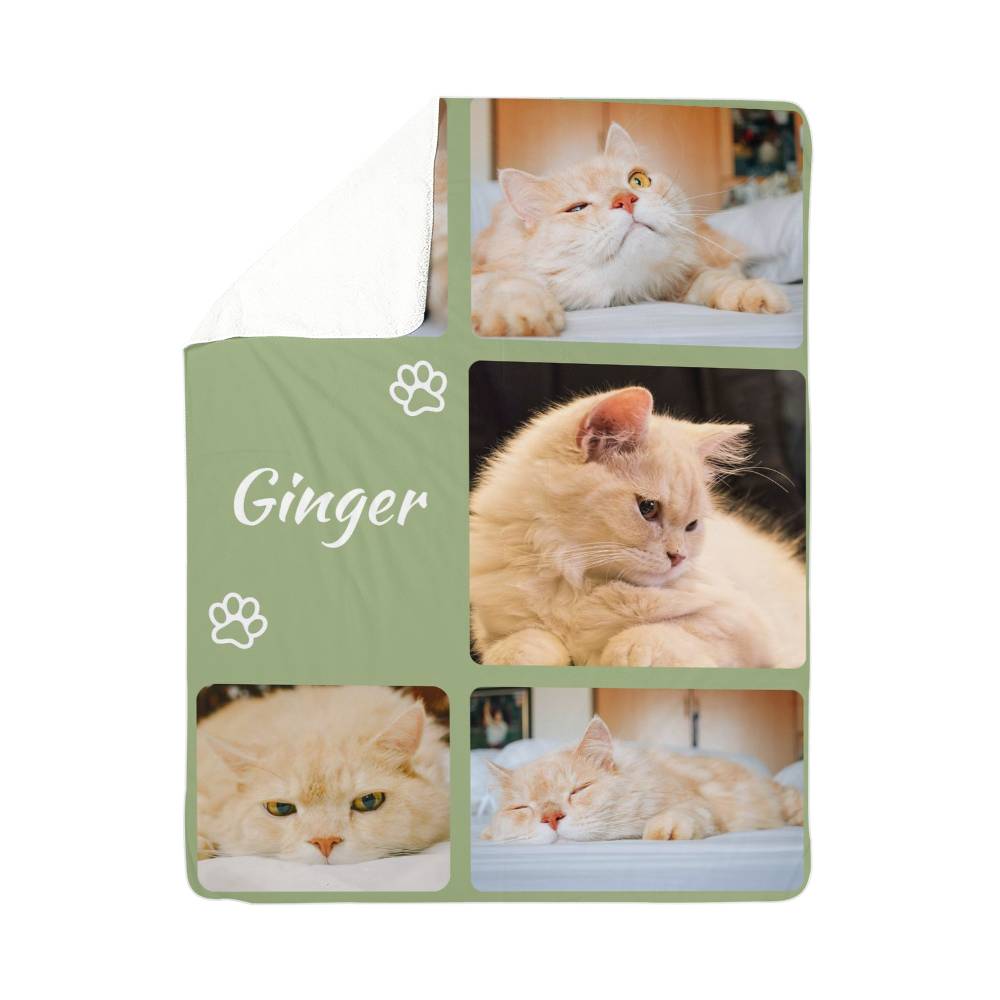 Collage of a cat named 'Ginger' with green border