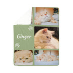 Collage of a cat named 'Ginger' with green border
