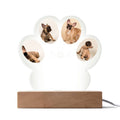 🐾 Personalized Pet Memorial Paw Acrylic Plaque with LED Base – Custom Dog Photo Light Keepsake