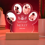 🐾 Personalized Pet Memorial Paw Acrylic Plaque with LED Base – Custom Dog Photo Light Keepsake