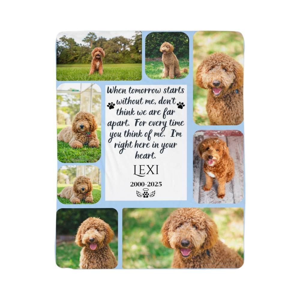 Memorial plaque with images of a dog and a quote, featuring the name 'Lexi' and years 2000-2025.