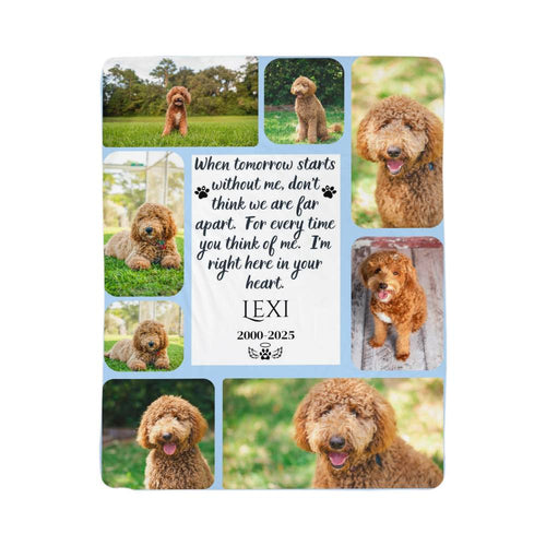 Memorial plaque with images of a dog and a quote, featuring the name 'Lexi' and years 2000-2025.