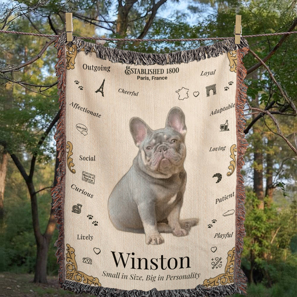 🐾 My Little Buddie Heirloom Woven Blanket – French Bulldog Edition - Gold Embellishment