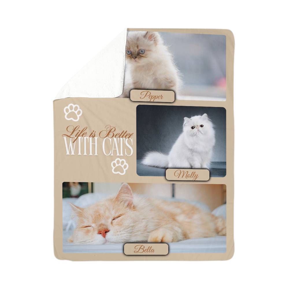 Product packaging with images of cats and text 'Life is Better With Cats' on a beige background.