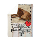 🐾 Pet Memorial Sherpa Blanket- When you miss me