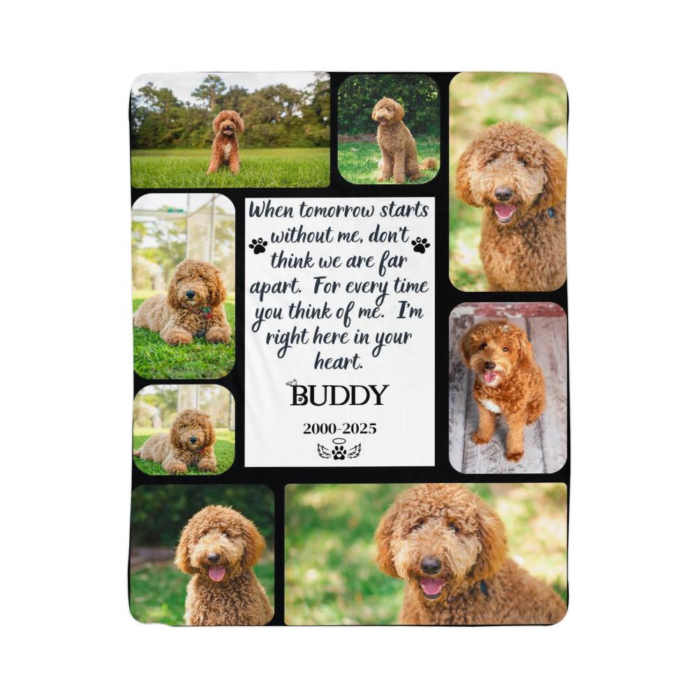 Memorial plaque with images of a dog and a quote about a pet named Buddy.