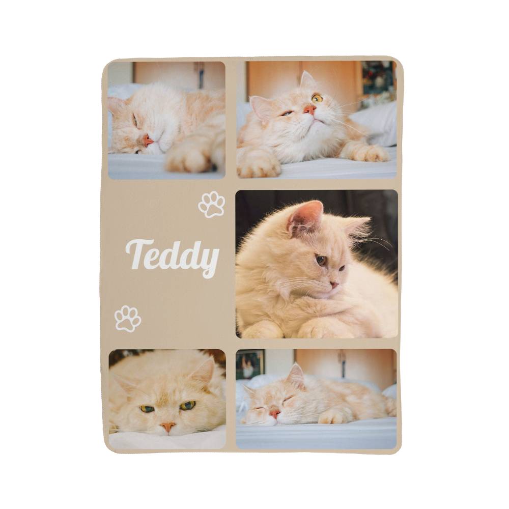 Collage of a cat named Teddy with various poses on a wooden block.