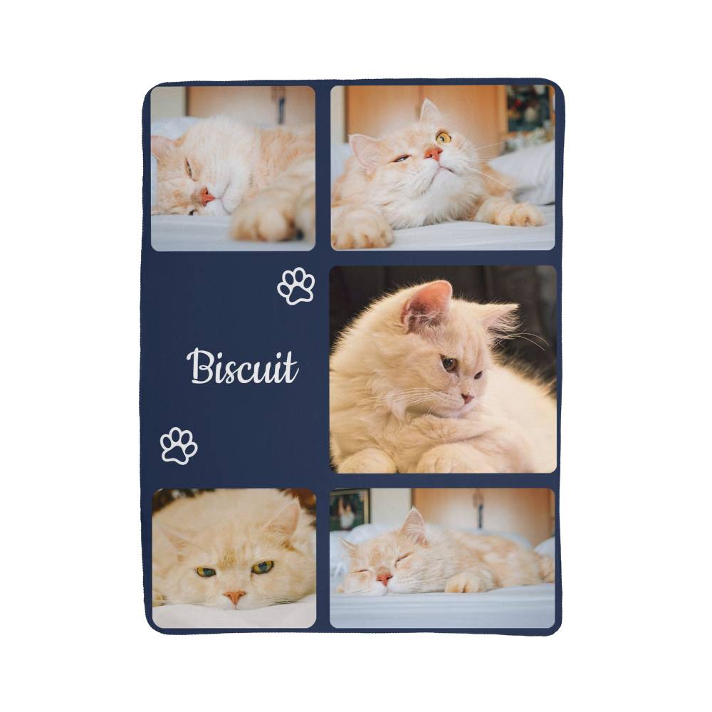Collage of a cat with the name 'Biscuit' on a dark blue background