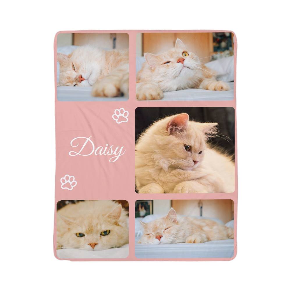 Collage of a cat named Daisy with pink border