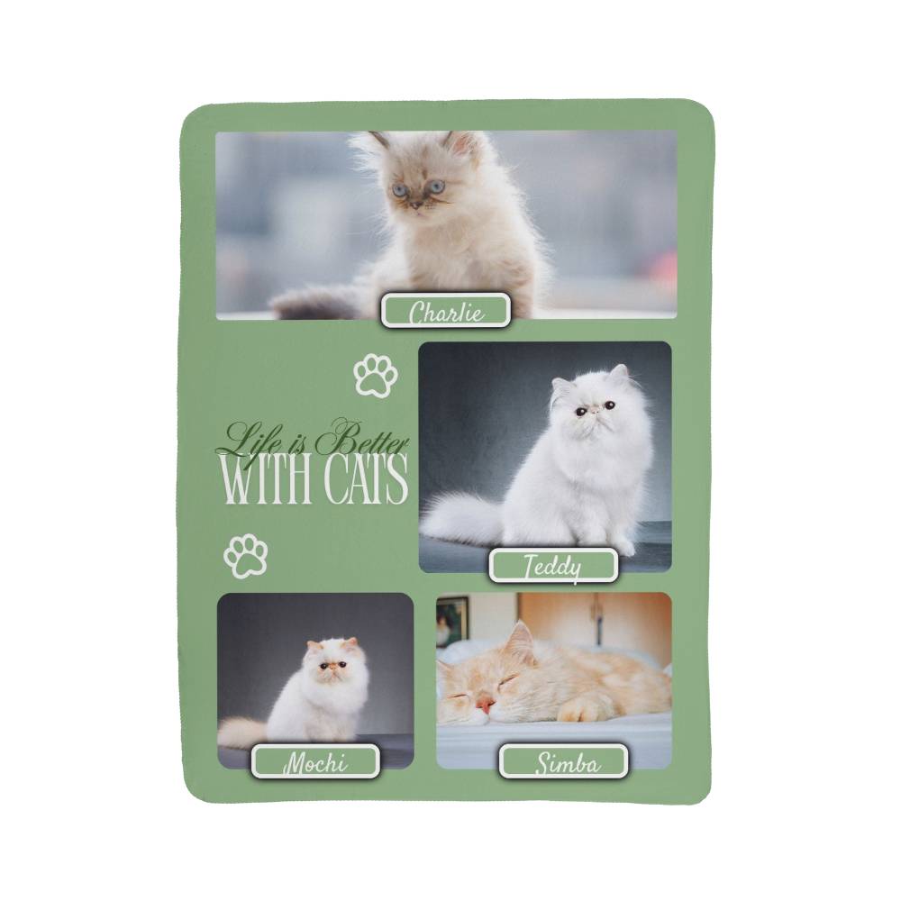 Packaging for cat-themed products with images of cats and text 'Life is Better With Cats'.