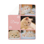 Pink pet bed with images of a cat named Daisy and her name printed on it.