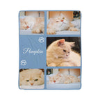 Collage of a cat with the name 'Pumpkin' on a blue background