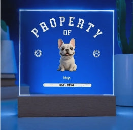Personalized "Property of" Dog Breed Acrylic Plaque — Custom Name & Year, LED Keepsake