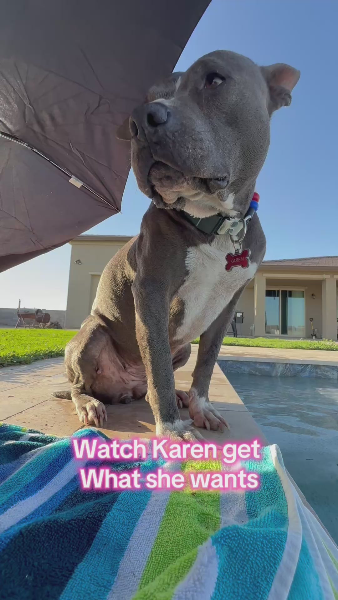 Karen in a bow tie lounging on a pool float, getting exactly what she wants